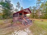 38134 Forest Road 123 - Photo 30