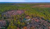 38134 Forest Road 123 - Photo 38