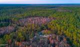 38134 Forest Road 123 - Photo 39