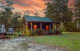 38134 Forest Road 123 - Photo 4