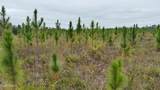 10900 Hwy 388 - Photo 1
