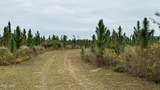 10900 Hwy 388 - Photo 2