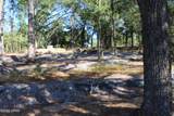 Lot 21 Paradise Lakes Road - Photo 19