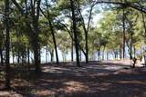 Lot 21 Paradise Lakes Road - Photo 39
