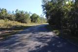 Lot 21 Paradise Lakes Road - Photo 43