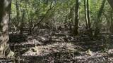 XXX Co 147 Highway - Photo 14