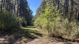 XXX Co 147 Highway - Photo 26