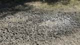 XXX Co 147 Highway - Photo 31