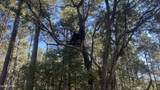 XXX Co 147 Highway - Photo 32