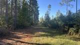 XXX Co 147 Highway - Photo 4