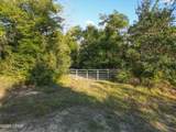 4660 Grassy Pond Road - Photo 15