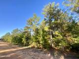 Lot 9 Adams Drive - Photo 2