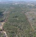 60 Acres Jw Miller Road - Photo 1
