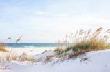 1048 Cape San Blas Road - Photo 16