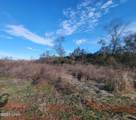 TBD Gainer Cemetery Road - Photo 2
