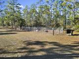 13563 Forest Road 141 - Photo 6