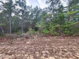 TBD Luar Avenue - Photo 3