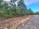 TBD Luar Avenue - Photo 4