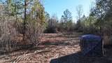 3120 Mount Olive Road - Photo 10