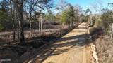 3120 Mount Olive Road - Photo 4
