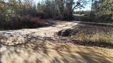 3120 Mount Olive Road - Photo 6