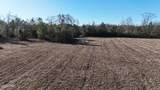 3120 Mount Olive Road - Photo 9