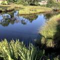 8929 Lagoon Drive - Photo 14