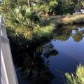 8929 Lagoon Drive - Photo 15