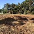 8929 Lagoon Drive - Photo 8