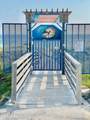 14106 Pelican Street - Photo 82
