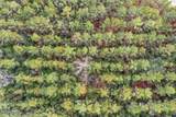 XXX Sumac Road - Photo 6