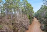 XXX White Oak Lane - Photo 2