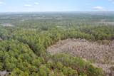 XXX Hawthorne Trail - Photo 11