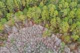 XXX Hawthorne Trail - Photo 16