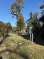 15503 Chipola Street - Photo 13