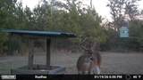 1112 Max Herrin Road - Photo 67