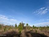 25 acres Davenport Road - Photo 3