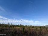 25 acres Davenport Road - Photo 4