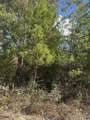 0000 Jamaica Circle - Photo 3