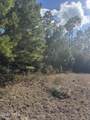 0000 Jamaica Circle - Photo 4