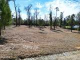 0 Donna Drive - Photo 8