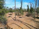 0 Donna Drive - Photo 9