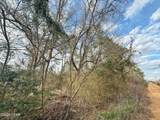 1718 Palmview Road - Photo 4