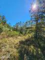 000 Pineridge Church Road - Photo 13
