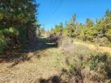 000 Pineridge Church Road - Photo 17