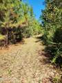 000 Pineridge Church Road - Photo 27