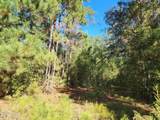 000 Pineridge Church Road - Photo 3