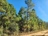 000 Pineridge Church Road - Photo 4