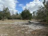 11922 Tammy Pitts Road - Photo 2