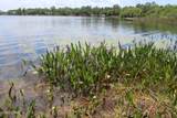 Lot 2 Village Drive - Photo 13